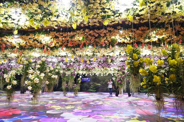 ▲▼台灣國際蘭展。（圖／台南市政府提供）