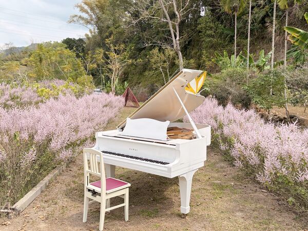 ▲▼南投中寮溪畔祕境。（圖／欣蒂愛玩 旅遊誌臉書專頁授權提供）