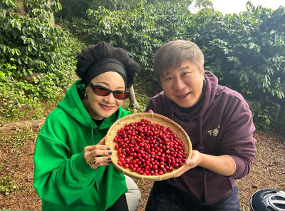 比莉獲張小燕賞識教大牌歌手跳舞　有一天「鞋子飛出去」