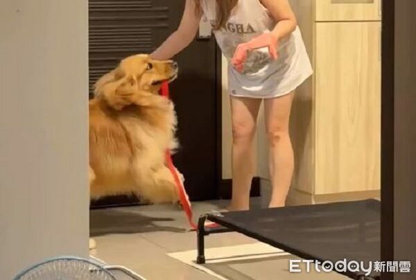 ▲。（圖／Threads@_yys.n提供，請勿隨意翻拍，以免侵權。）