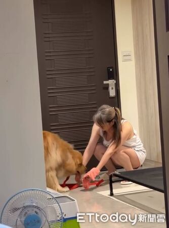 ▲。（圖／Threads@_yys.n提供，請勿隨意翻拍，以免侵權。）