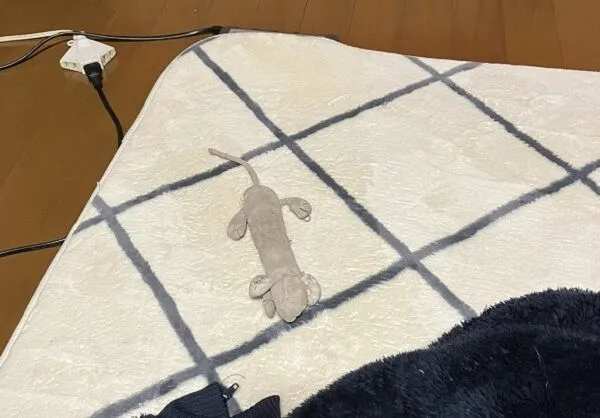 ▲。（圖／翻攝自X／@kan_3030）