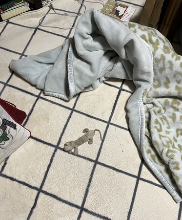 ▲。（圖／翻攝自X／@kan_3030）