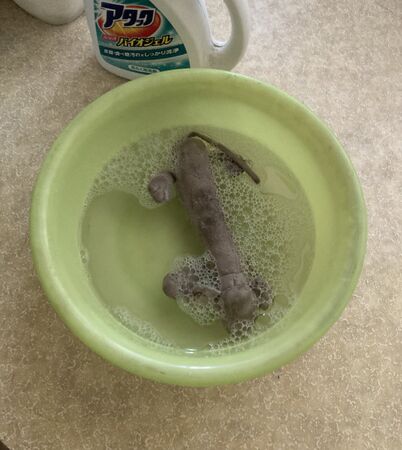 ▲。（圖／翻攝自X／@kan_3030）