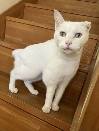 ▲。（圖／翻攝自X／@kan_3030）