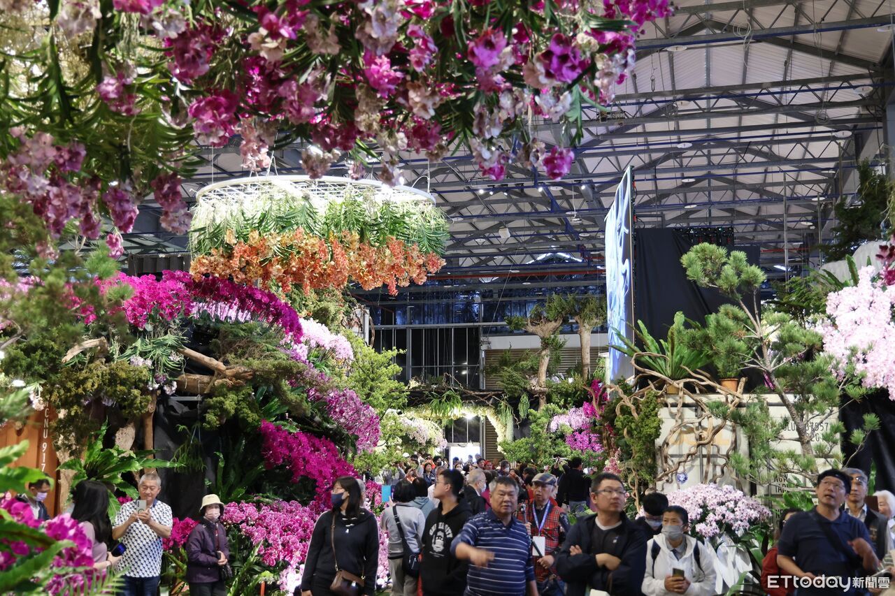 白天賞蘭展、夜晚犁蜂炮 台南元宵限定「一日雙享」