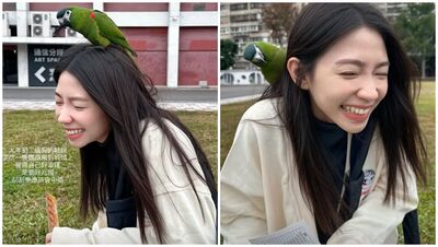 曾智希買完刮刮樂「鸚鵡突飛頭上」！激動：好兆頭⋯下秒悲劇2連發