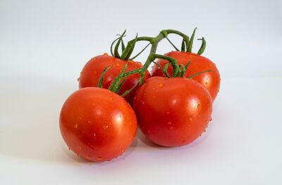 減脂不只少吃！脂肪最怕的9種食物公開，營養師也點頭