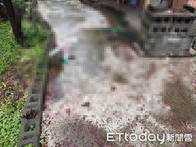 快訊／新北男社區8樓墜落！警衛驚見倒血泊…妻淚眼陪同送醫亡