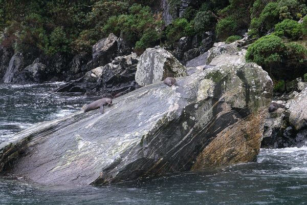 ▲▼米爾福德峽灣。（圖／部落客飛天璇的口袋授權提供）