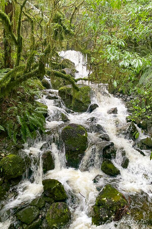 ▲▼米爾福德峽灣。（圖／部落客飛天璇的口袋授權提供）