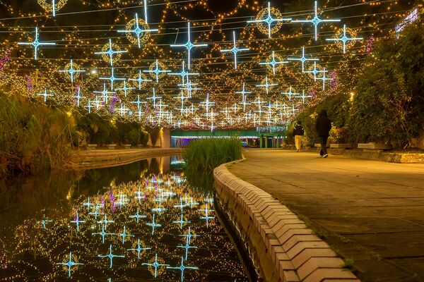 ▲2026中港大排光雕展將於3/6開跑，7米高星耀之樹、3米高雪白北極熊成亮點。（圖／新北市水利局提供）