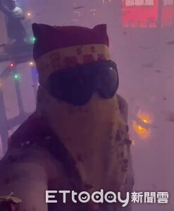 創舉！肉身邯鄲拿手機自拍　記錄勇敢承受砲火洗禮畫面