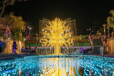 7米高「星耀之樹」點亮夜空　中港光雕展3／6閃耀開幕