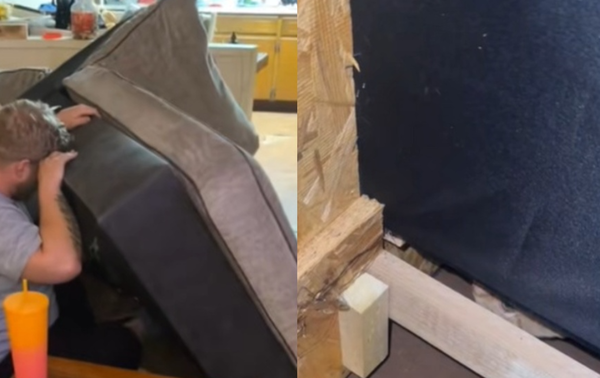 夫妻帶二手沙發回家意外獲「贈品」　狗狗狂聞揭真相：果然是橘貓。（圖／翻攝自TikTok／mrs_samanthahardin）