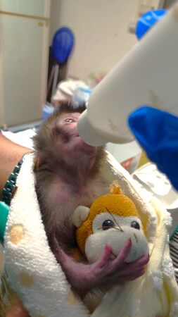 ▲。（圖／Shou Shan Zoo 壽山動物園提供）