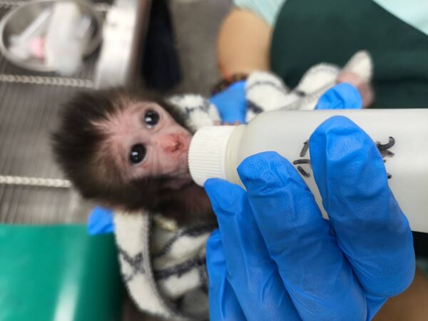 ▲。（圖／Shou Shan Zoo 壽山動物園提供）