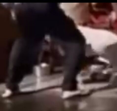 ▲彰化有隻杜高小母狗遭到飼主虐打遭動防所開罰目前行蹤不明。（圖／網友提供）