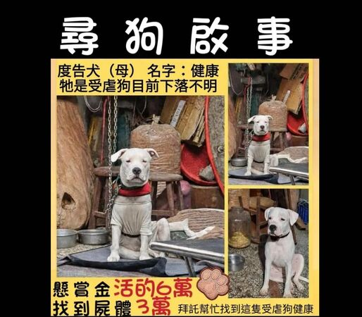 ▲彰化有隻杜高小母狗遭到飼主虐打遭動防所開罰目前行蹤不明。（圖／網友提供）