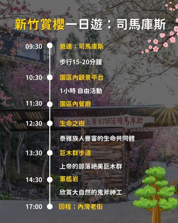 ▲▼2026賞櫻一日遊推薦。（圖／ReadyGo提供）