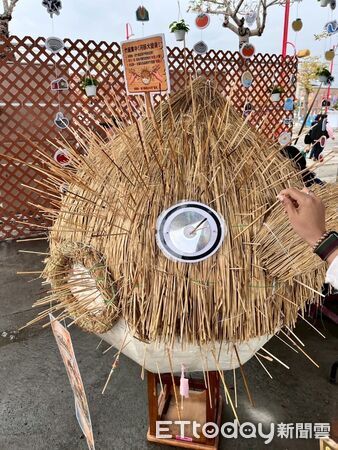 ▲▼  燈會驚見巨型河豚！嘉義縣推「刺刻行動」創意回收，讓廢棄竹籤變身藝術防禦刺 。（圖／翻攝臉書嘉減碳）