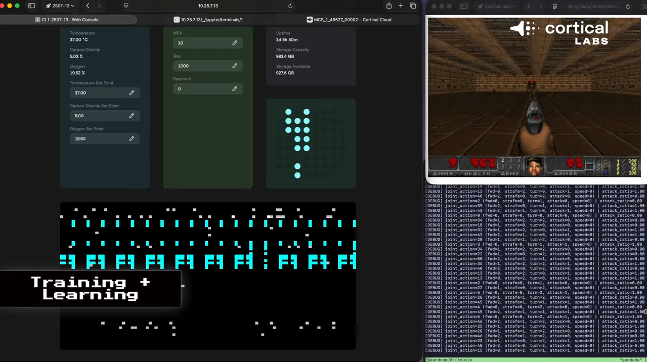 ▲▼澳研究用人腦細胞玩《毀滅戰士》。（圖／翻攝自YouTube／Cortical Labs）