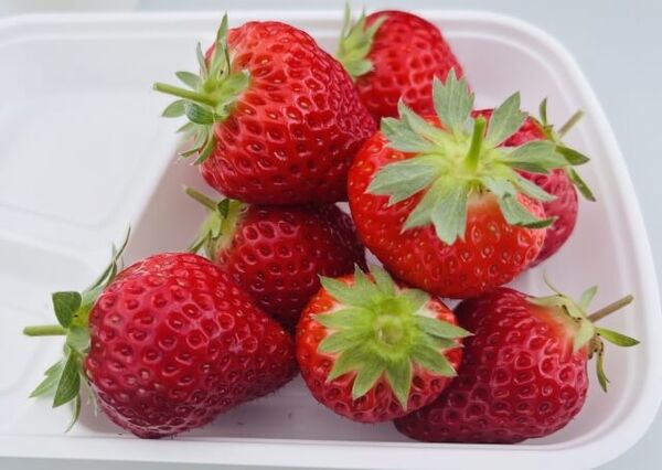 ▲▼LOPIA超市必買。（圖／ReadyGo提供）