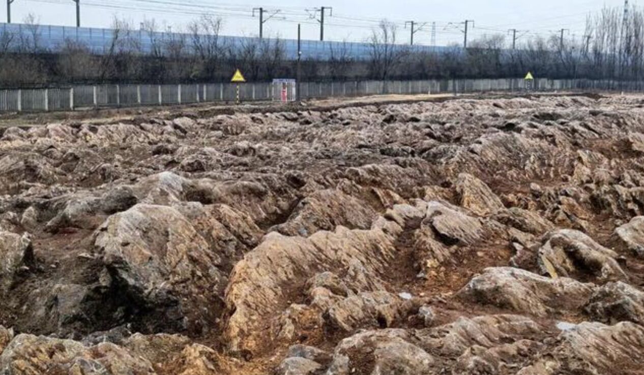 陸新修高鐵站挖出「5億年前石海奇景」 經勘查為寒武紀石灰岩組成