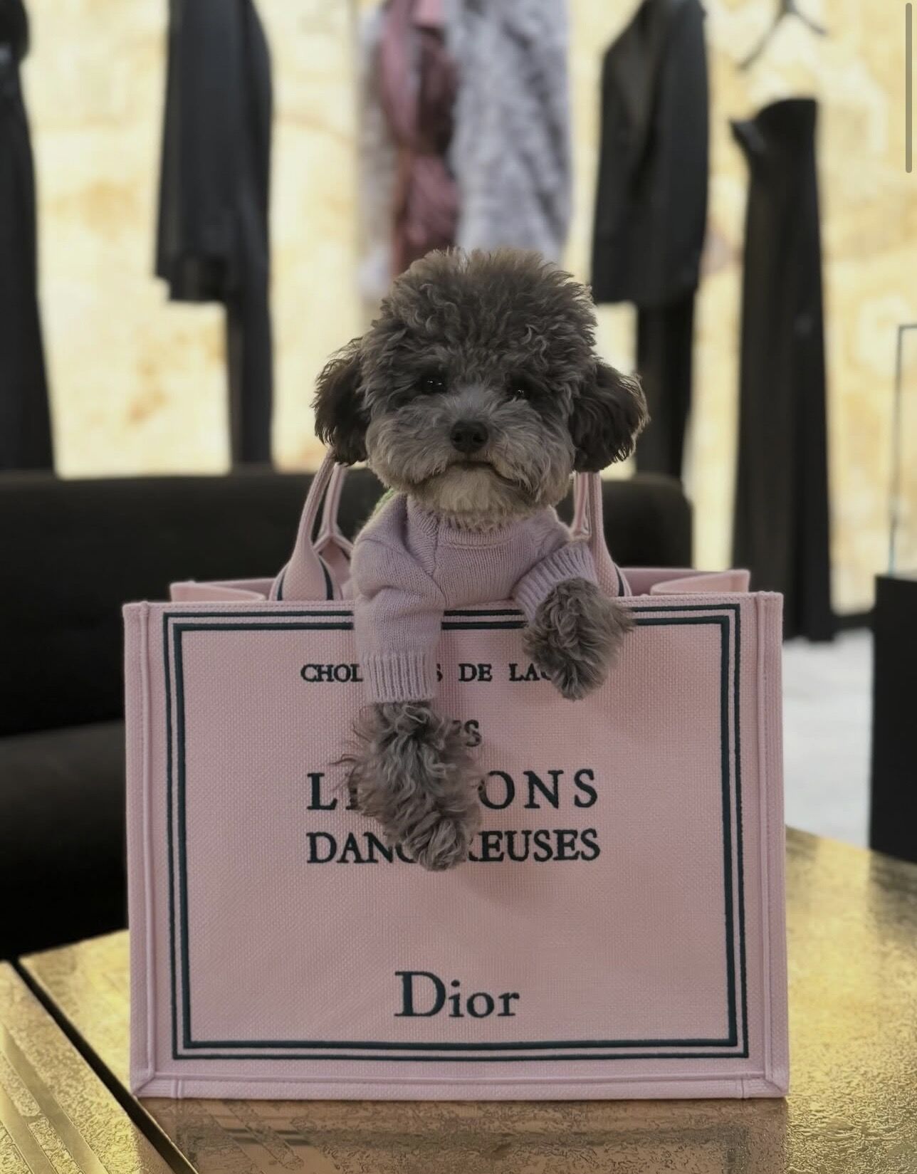 ▲▼劉嘉玲             。（圖／翻攝IG）