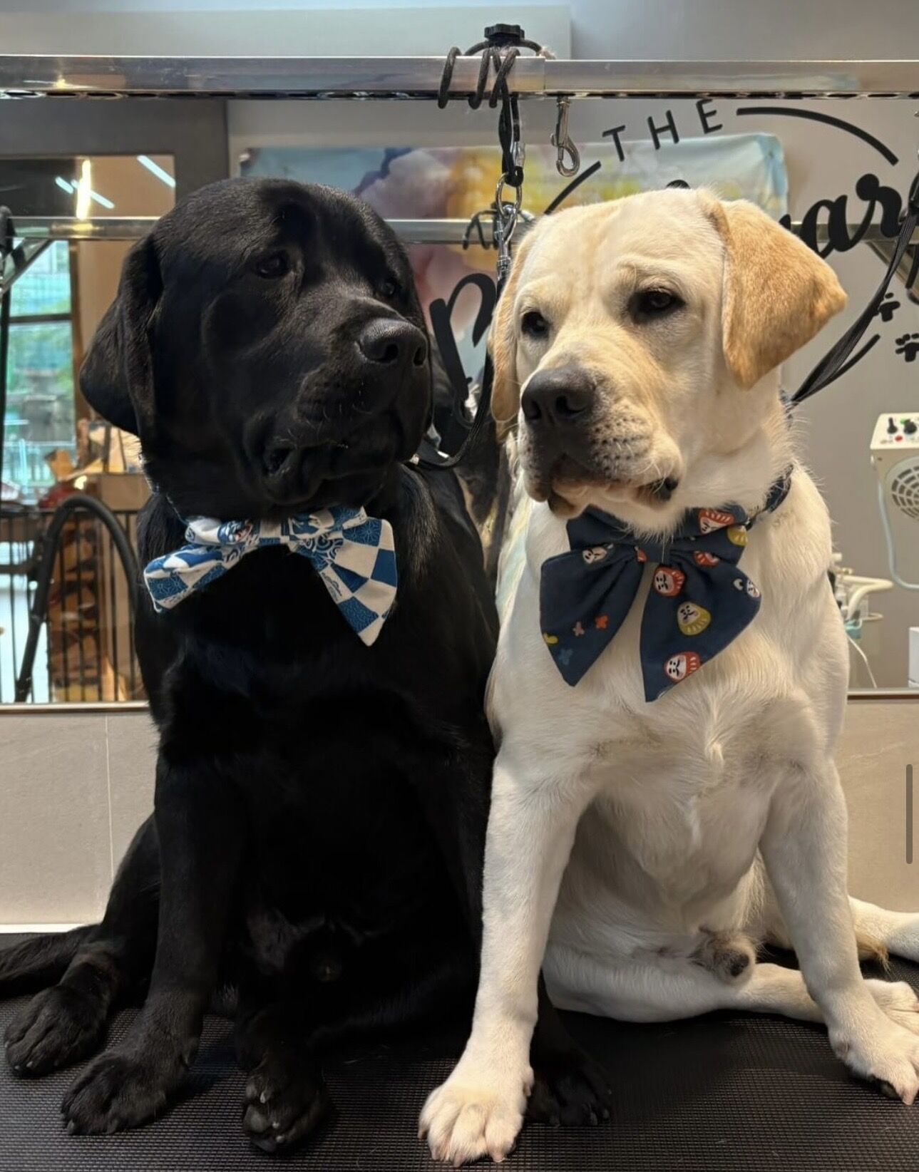 ▲▼劉嘉玲             。（圖／翻攝IG）