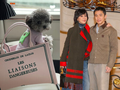 劉嘉玲10萬Dior包當寵物包　玩具貴賓狗變購物助理萌翻