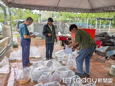 花蓮水產培育所贈魚苗！設籍花蓮民眾皆可申請　即日起至月底