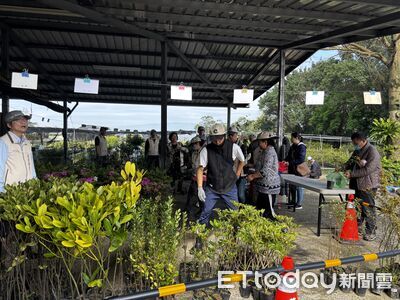 基隆植樹節3／12七堵苗圃登場！憑發票換樹苗　限量5000株