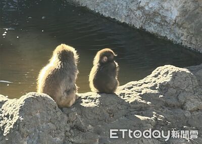 哥哥現身說法！Panchi找到「4位守護者」　變不黏才是真成長