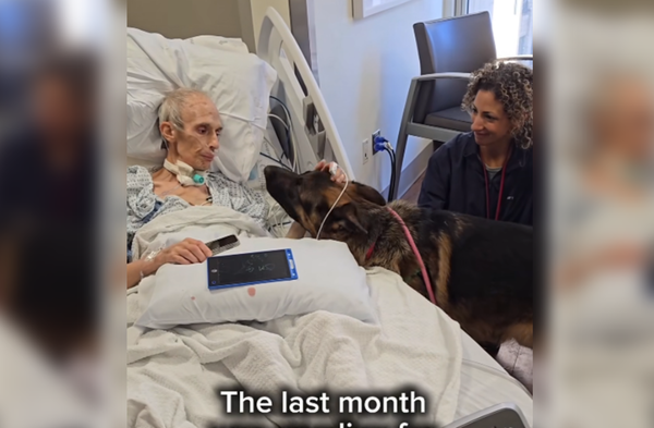絕症男臨終前希望「見愛犬最後一面」　忠心汪趴床守護醫護全淚崩。（圖／翻攝自Facebook／NYC Second Chance Rescue）