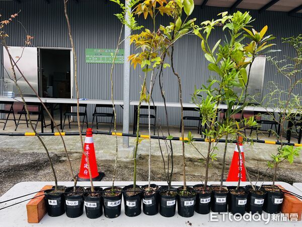 ▲基隆植樹節3／12七堵苗圃登場。（圖／記者郭世賢翻攝）