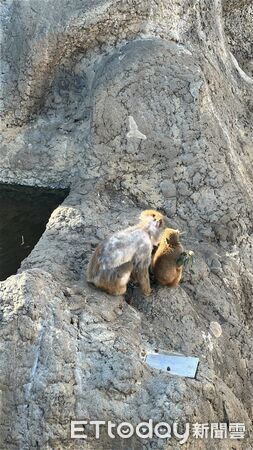 ▲。（圖／Threads@namaste_moon_33提供，請勿隨意翻拍，以免侵權。）