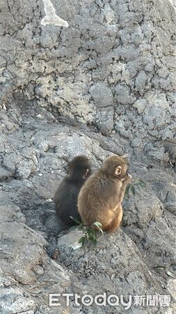 ▲。（圖／Threads@namaste_moon_33提供，請勿隨意翻拍，以免侵權。）