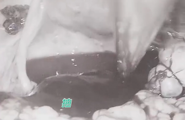 ▲▼陸情侶同房後女友黃體破裂險喪命。（圖／翻攝自微博）