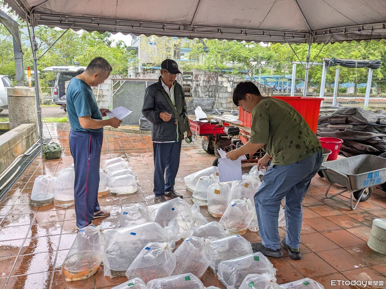 花蓮水產培育所贈魚苗!設籍花蓮民眾皆可申請 即日起至月底