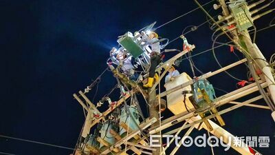 迎驚蟄動植物活躍　台電基隆區處啟動供電守護行動