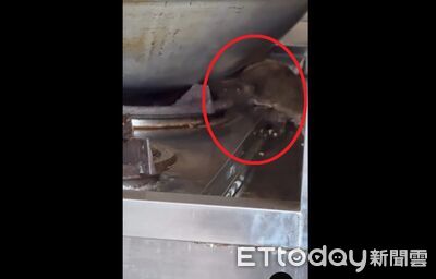 台中西屯排骨店「超大肥鼠」瓦斯檯吃Buffet　食安處出手了