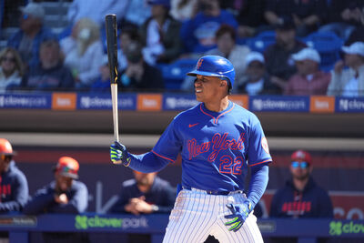 D組戰力分析！最強打線對決　多明尼加、委內瑞拉決戰311　