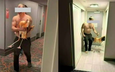 男遊客擄走飯店紅鶴帶回房間　「強扯下翅膀」變態施虐控4重罪