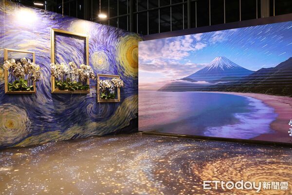 ▲2026台灣國際蘭展「綻放館」以實體蘭花打造沉浸式展覽空間。（圖／記者林東良翻攝，下同）
