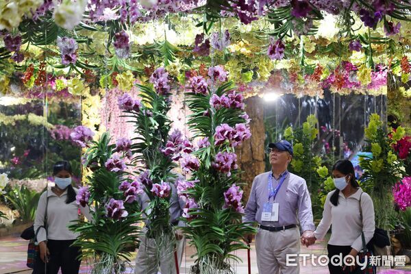 ▲2026台灣國際蘭展「綻放館」以實體蘭花打造沉浸式展覽空間。（圖／記者林東良翻攝，下同）