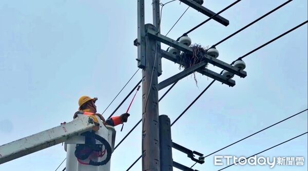 ▲台電,停電搶修,鳥巢,示意圖。（圖／記者郭世賢翻攝）