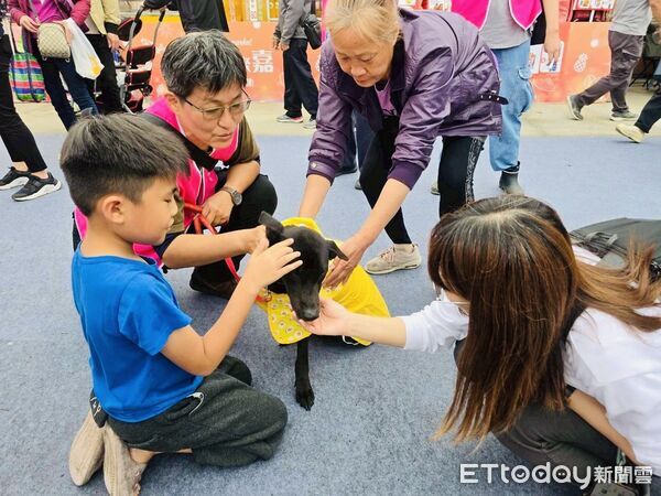 ▲▼   摸寵物神獵狗公祈福、和浪浪拍照，2026台灣燈會創意動保遊行萌力爆發。（圖／嘉義縣政府提供）