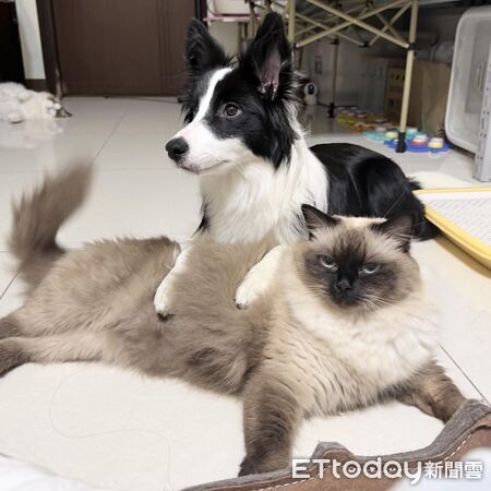 ▲。（圖／Threads@dreamer0505_提供，請勿隨意翻拍，以免侵權）