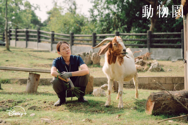 ▲《動物園》播出後受到許多網友喜愛。（圖／Disney+提供）